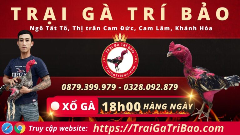 Video 18h03 ngày 12/1 – Trại Gà Trí Bảo