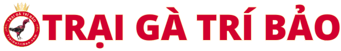 Trại Gà Trí Bảo